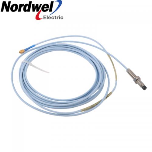 Bently Nevada 330101-00-20-20-02-00